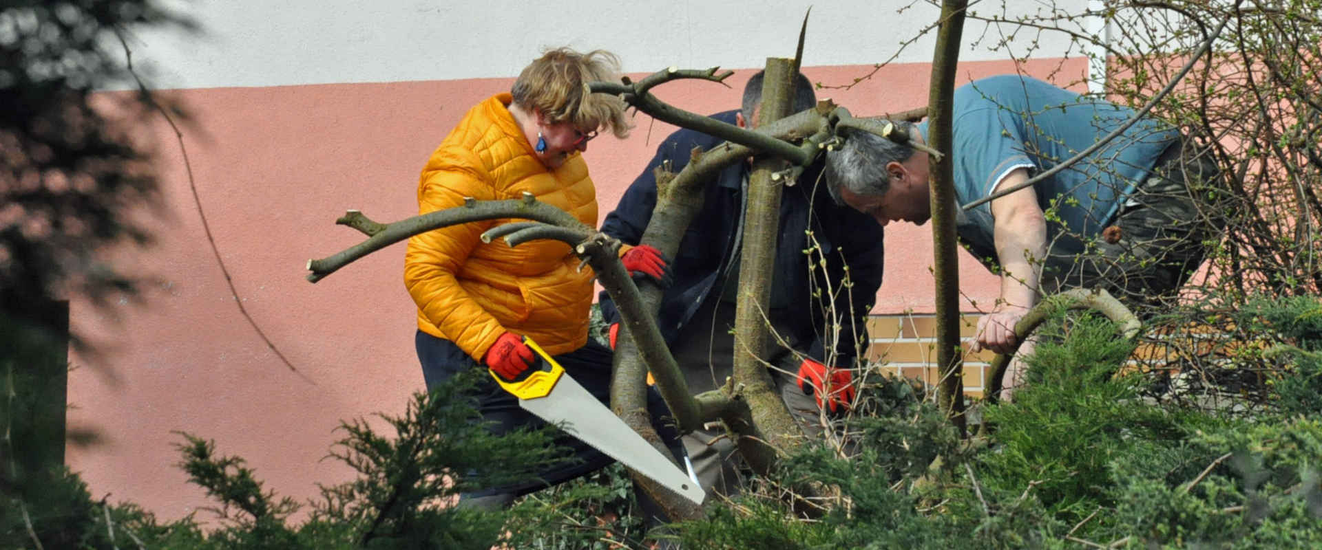 Trzy osoby sprzątają w ogrodzie